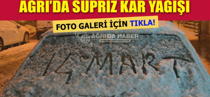 Ağrı'da Kar Yağışı Foto Galeri