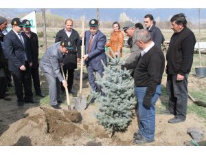 Erzincan'da Dünya Ormancılık Gününde Fidan Dikildi