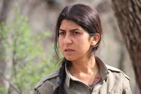 Son dakika PKK'ya Ağır Darbe! YPS Komutanı Berivan Avesta öldürüldü