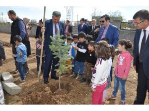 Öğrenciler Fidan Dikti