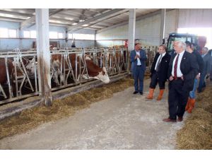 Kaymakam Karaman, Süt Tesislerinde İncelemelerde Bulundu