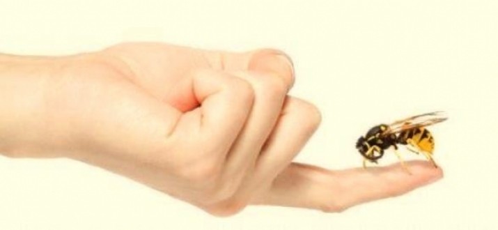 Kansere karşı Yeni Çözüm! Arı Zehri Kanseri Engelliyor