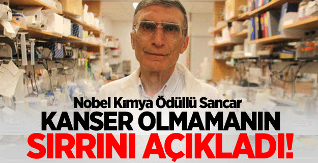 kanseri yenmenin en etkin yöntemi