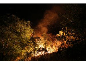 Malatya'da Kayısı Bahçesinde Yangın