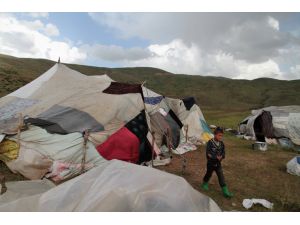 Yaylacıların Zorlu Yaşamı