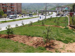 Bitlis'te Belediyeden Peyzaj Çalışması