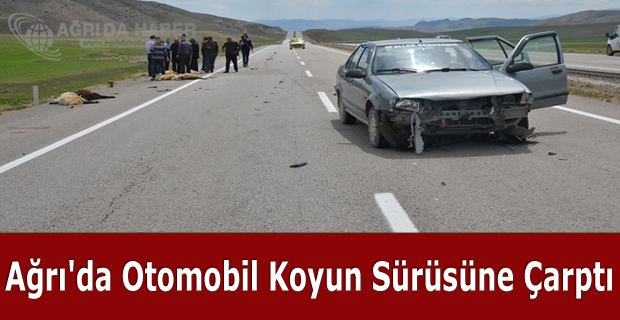 Ağrı'da Otomobil Koyun Sürüsüne Çarptı