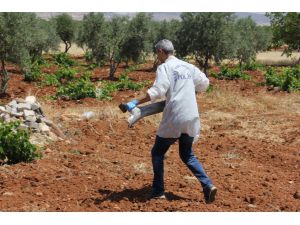 Kilis'e 3 Roket Düştü