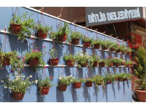 Bitlis'te Peyzaj Çalışmaları