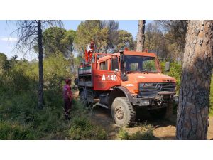 Ormanlık Alandaki Yangın Büyümeden Söndürüldü