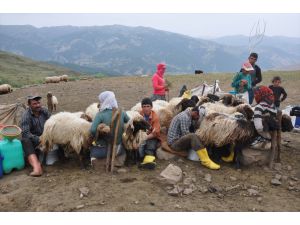 Doğu Anadolu Bölgesi'nde Göçerlerin Zorlu Yayla Yolculuğu