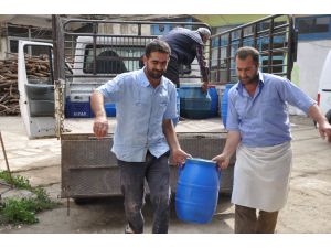 Muş'ta Kışlık Peynir Satışları Başladı