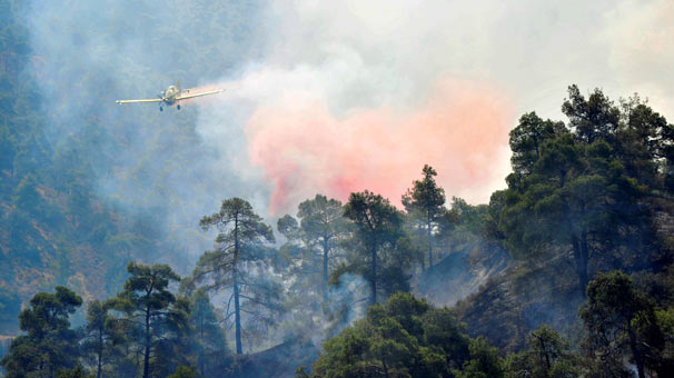 Orman yangını erteletti