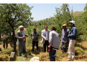 Bitlis'te Mezarlık Otları Temizleniyor