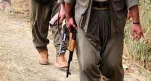 PKK ve IŞİD'e ağır darbe