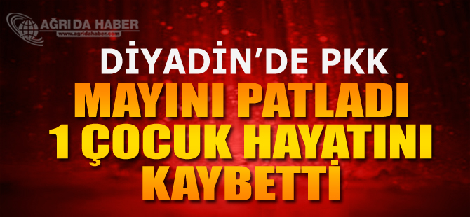 Ağrı'da Teröristlerin Yerleştirdiği Mayın Patladı: 14 Yaşında Bir çocuk Öldü