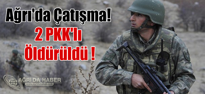 Ağrı'nın Sinek Yaylasında Çatışma! 2 PKK'lı Terörist Ölü Ele Geçirildi