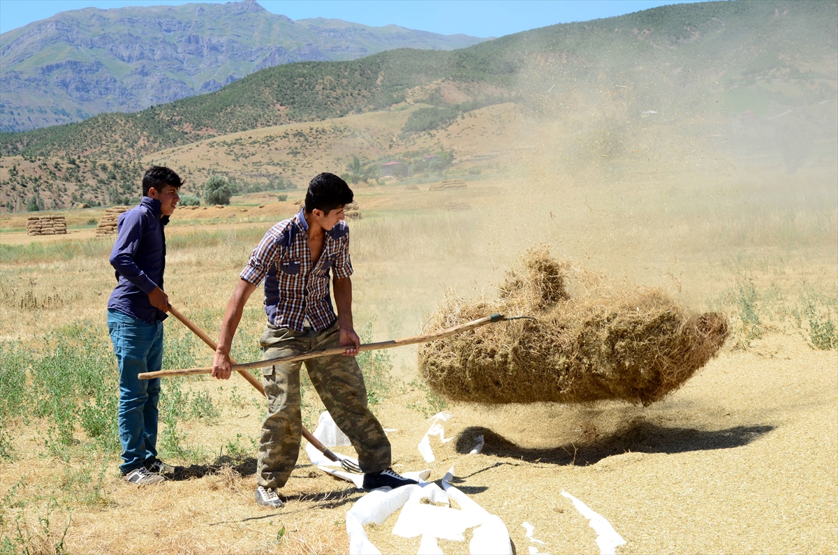 Bitlis'te Çiftçilerin Zorlu Patos Mesaisi Başladı
