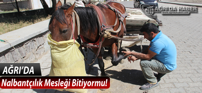 Nalbantçılık Mesleğinin Ağrı'da Tek Ustası Kaldı