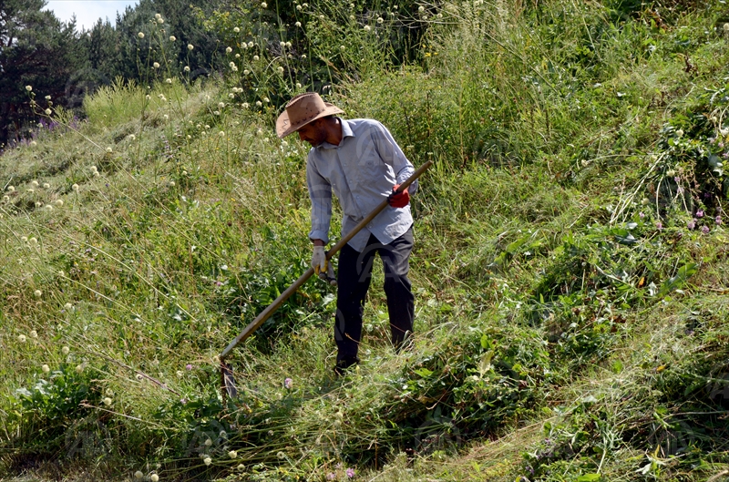 Kars'ta Geleneksel Tarım Aletleri Çiftçilerin Vazgeçilmezi