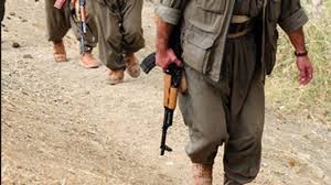 Van'da PKK Terör Saldırısı