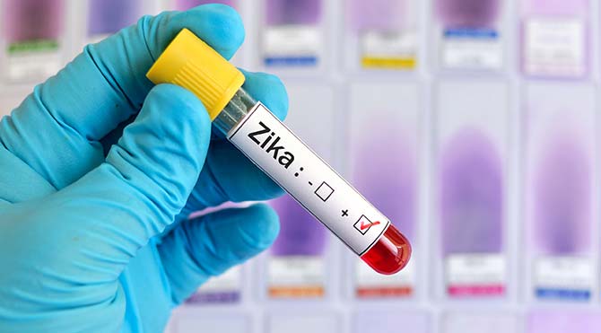 Zika Virüsü Yine Geldi!
