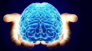 Kilo Beyni Çürütüyor!