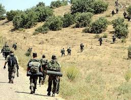 Iğdır'da Terör Örgütü PKK'ya yönelik Operasyonlar Başlatıldı