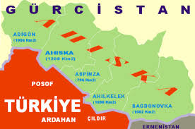 Ahıska Türkleri İçin Toplantı Düzenlendi