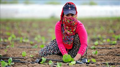 Fideler Kadın Eliyle Can Buluyor