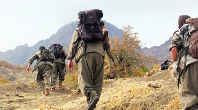 Hakkari'de Bir PKK'lı Terörist Yakalandı