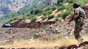 Çukurca'da 2 PKK'lı Öldürüldü