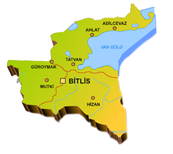 Uluslararası Avrasya Ahlat Kültür Buluşması Şenliği Başladı