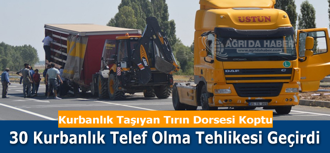 Ağrı'da Kurbanlık Taşıyan Tırın Dorsesi Koptu