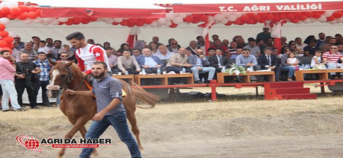 15 Temmuz Şehitleri Anısına Ağrı'da At Yarışları Düzenlendi