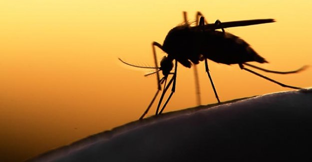 2 Milyar İnsanı Tehdit Eden Zika Virüsü Kapıya Dayandı