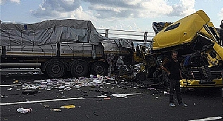 Iğdır'da Kurbanlık Yüklü Tır Devrildi: 135 Koyun Telef Oldu