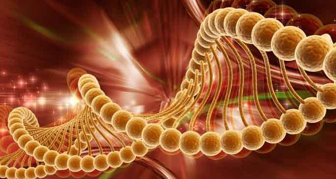 Kanseri Tespit Eden Test Bulundu