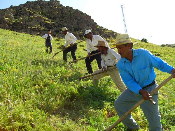 Çiftçi Borçları Bir Yıl Ertelendi