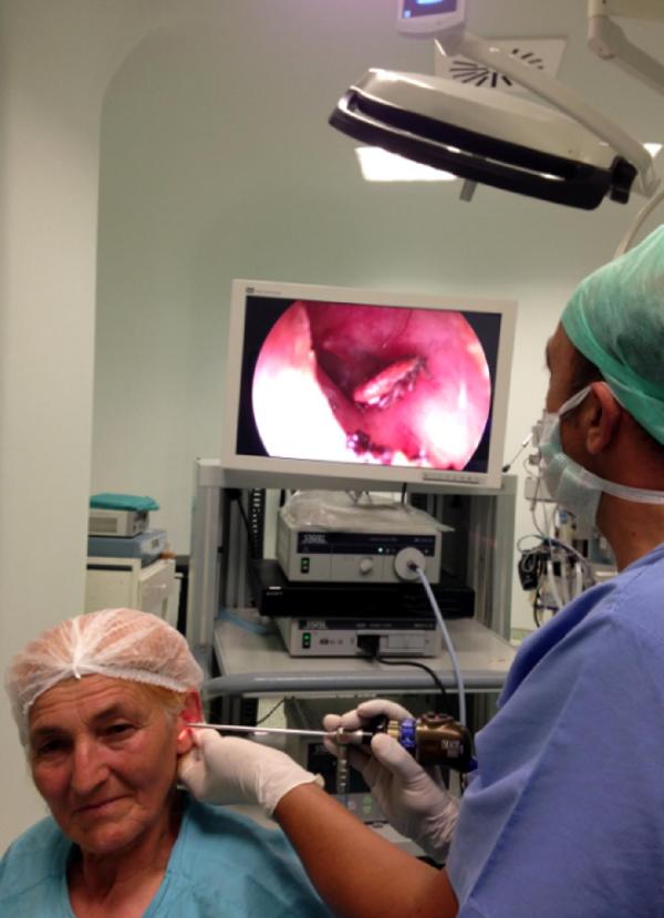 Kulağından Kene Çıktı