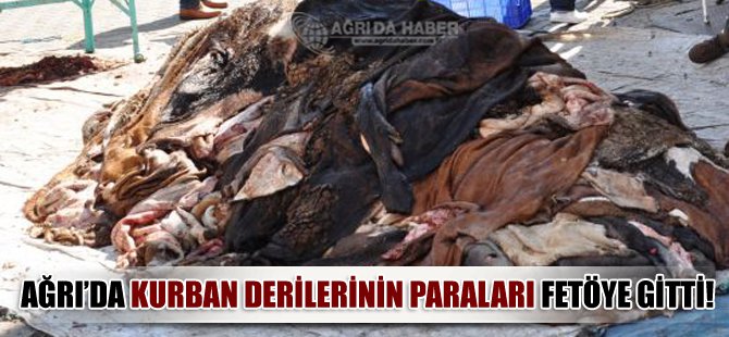 Ağrı'da Kurban Derilerinin Paraları FETÖ'ye!