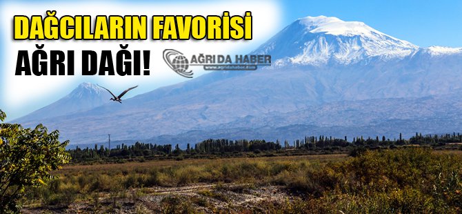 Dağcıların Vazgeçemediği Tırmanış Noktası Ağrı Dağı