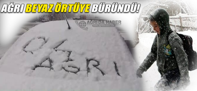 Ağrı'da Gece Başlayan Kar Kenti Beyaza Bürüdü!