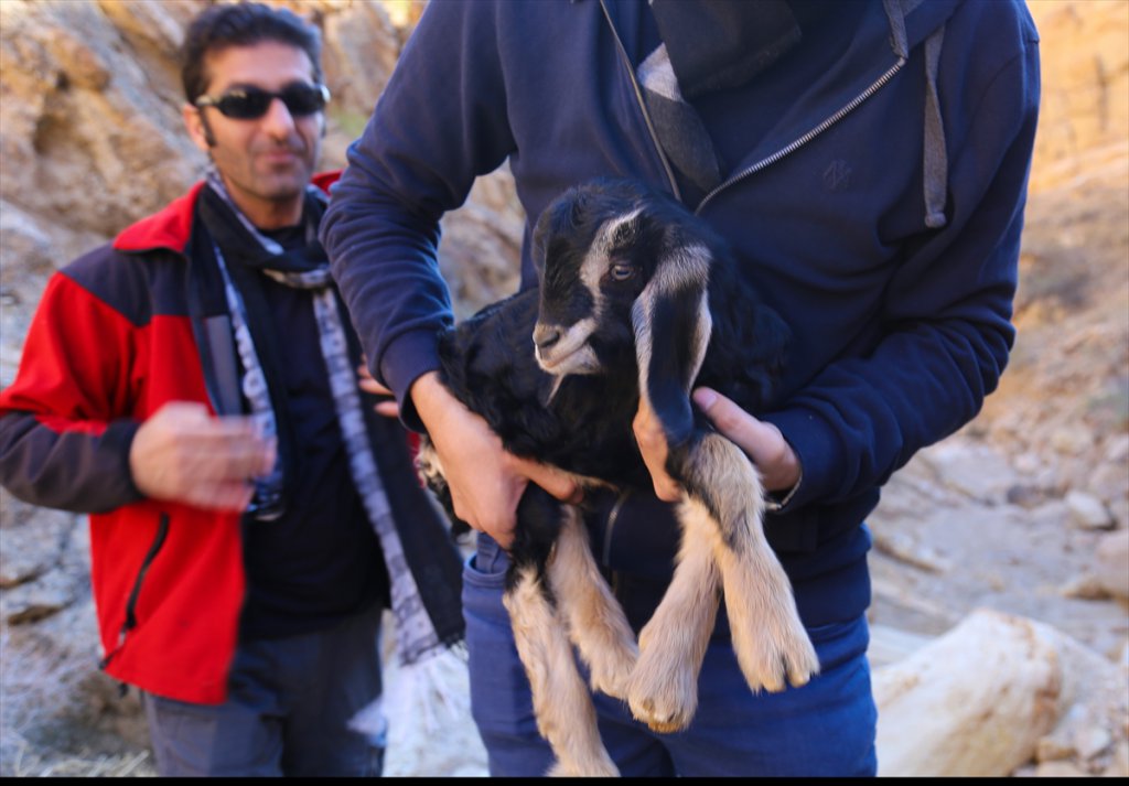 Iğdır'da Dağcılar Yeni Doğum Yapmış Keçi İle Yavrusunu Kayalıktan Kurtardı