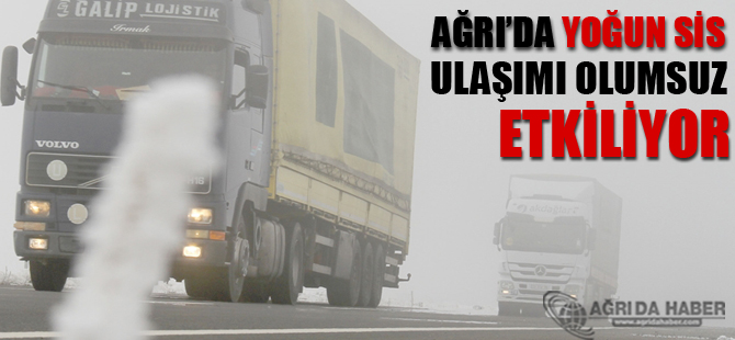 Ağrı'da Yoğun Sis Ulaşımı Olumsuz Etkiledi