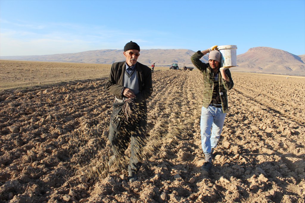 Tarımda Geleneksel Yöntemden Vazgeçmiyorlar