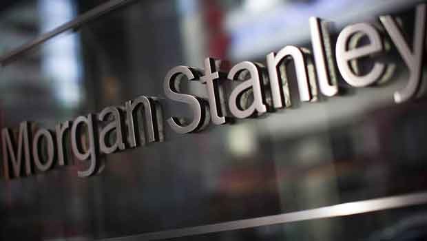 OECD ve Morgan Stanley Türkiye'nin büyüme tahminini Açıkladı !