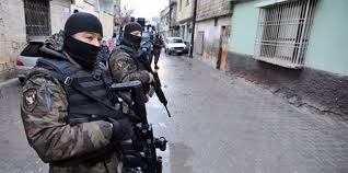 Bitlis'te Terör Operasyonu düzenlendi