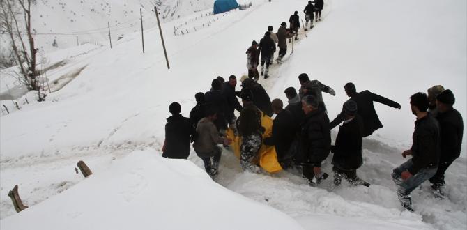 Muş'ta İki Kişi Çığ Altında Kaldı