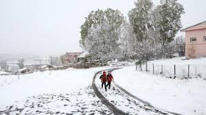 Doğu Anadolu'daki Kar Yağışı